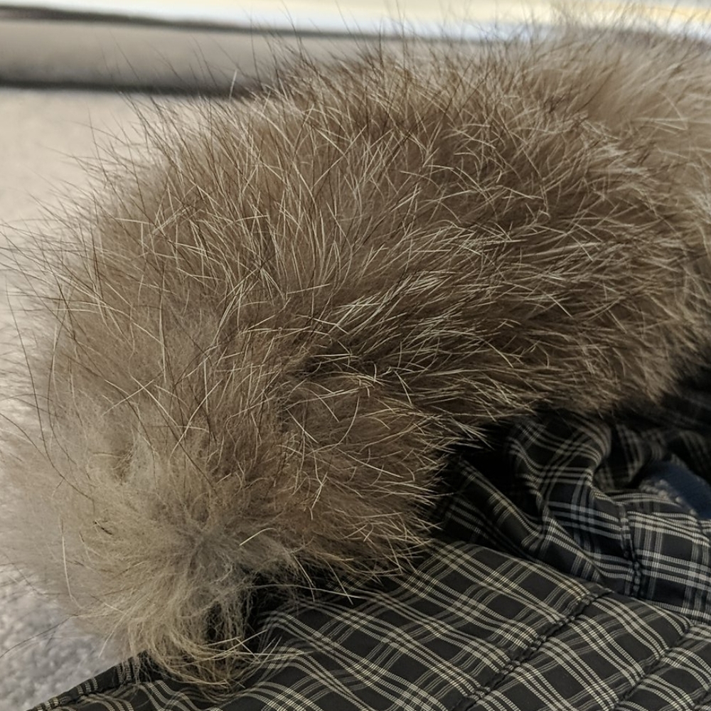 Hugo Boss - Picture 8 of 16